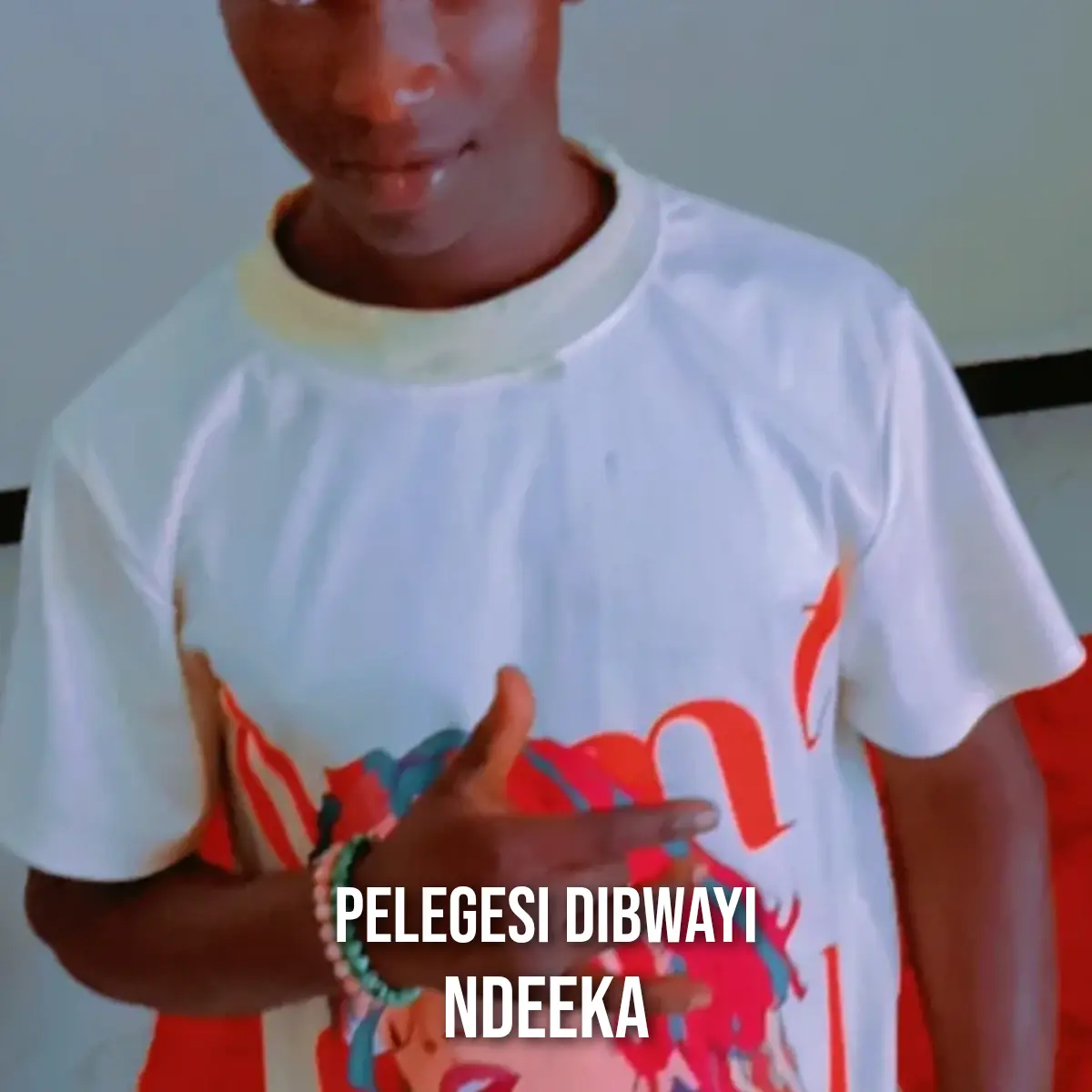Ndeeka cover art