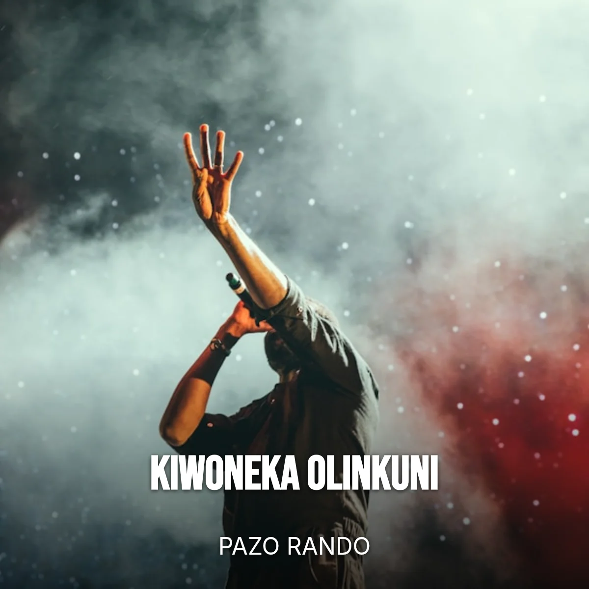 Kiwoneka olinkuni cover art