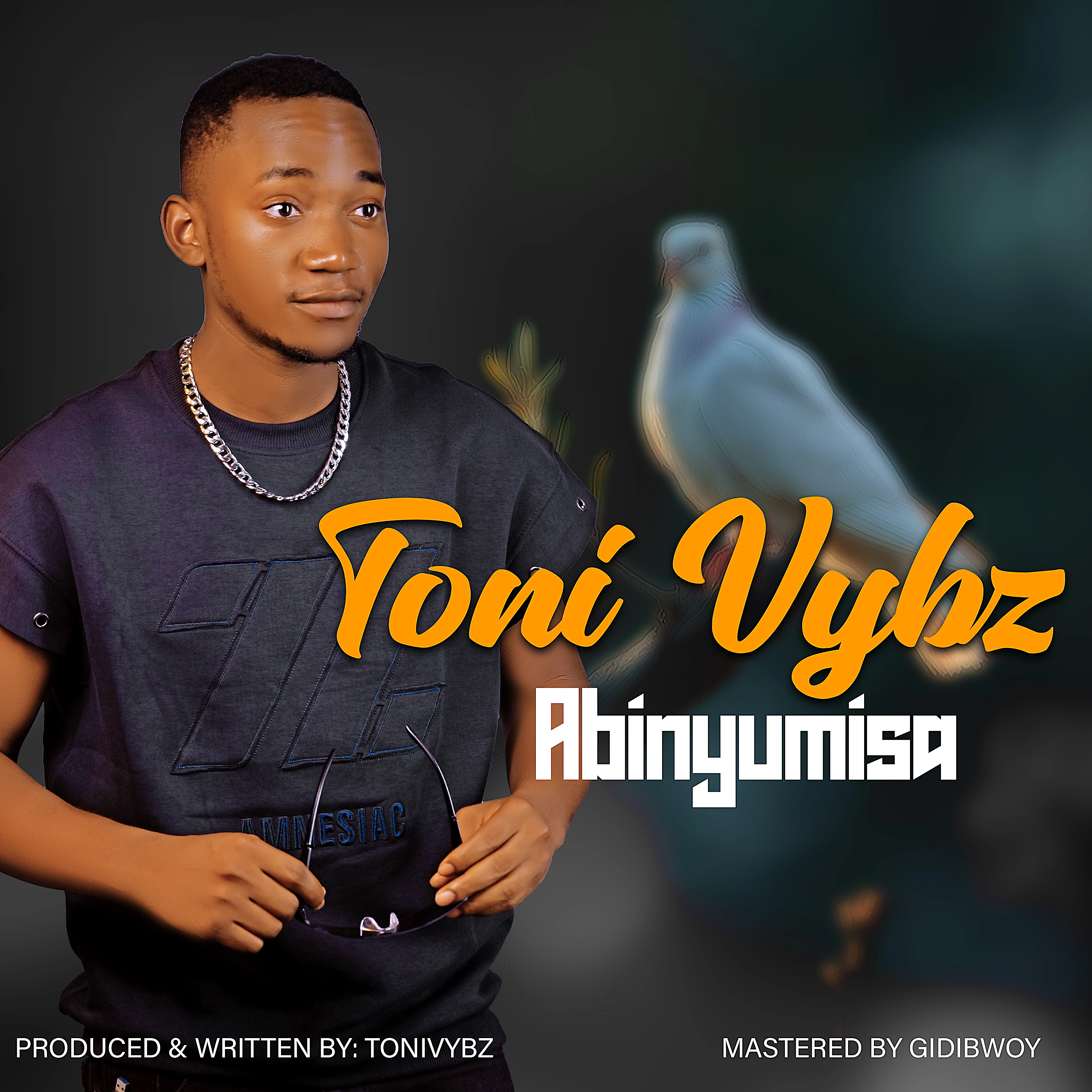 ABINYUMISA cover art