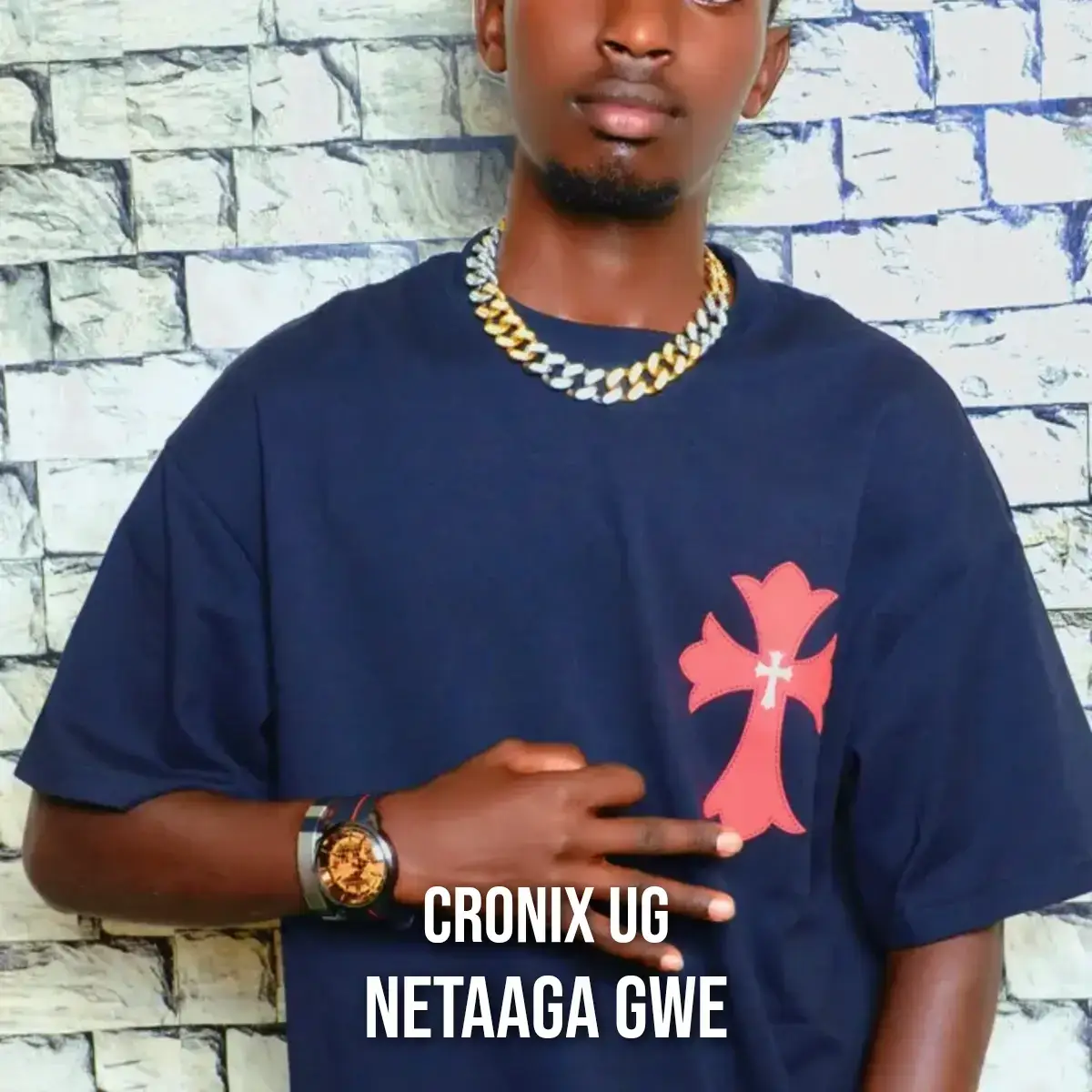 Netaaga gwe cover art