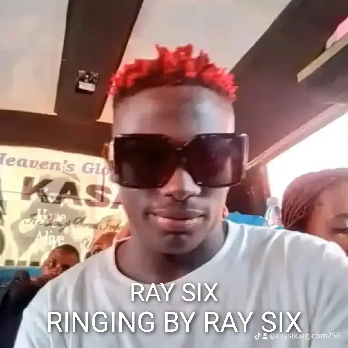 Ringing by RAY SIX cover art