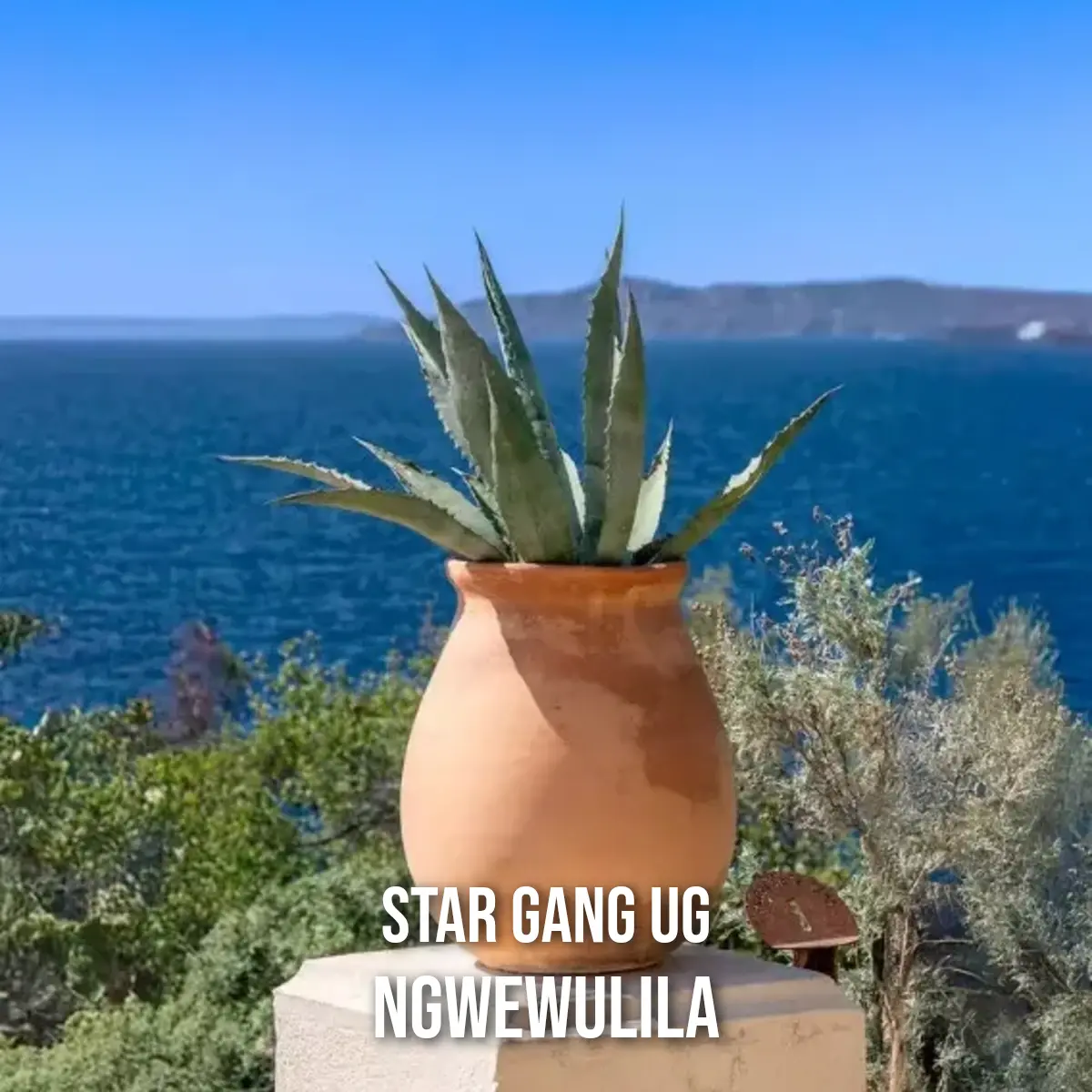 Ngwewulila cover art