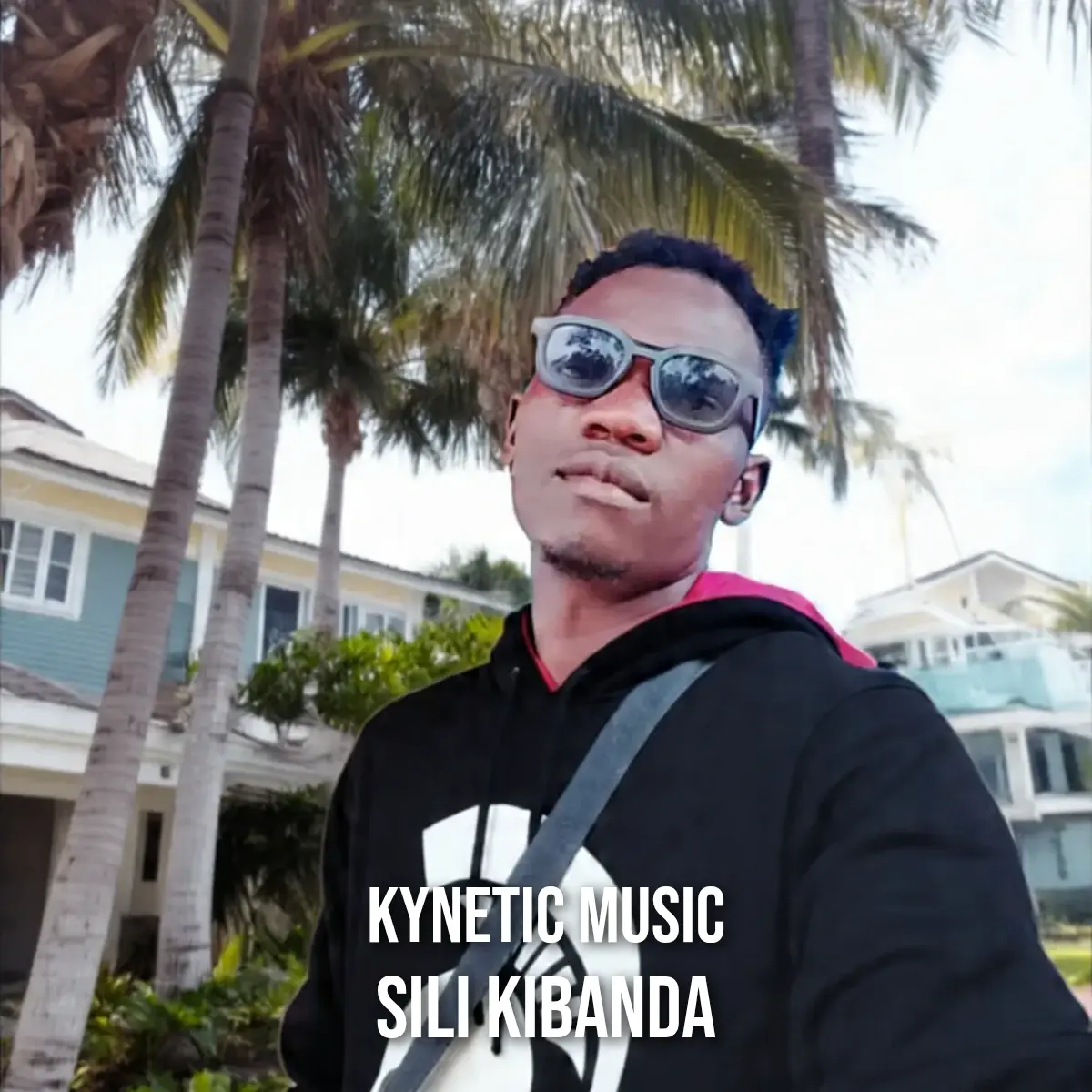 Sili kibanda cover art
