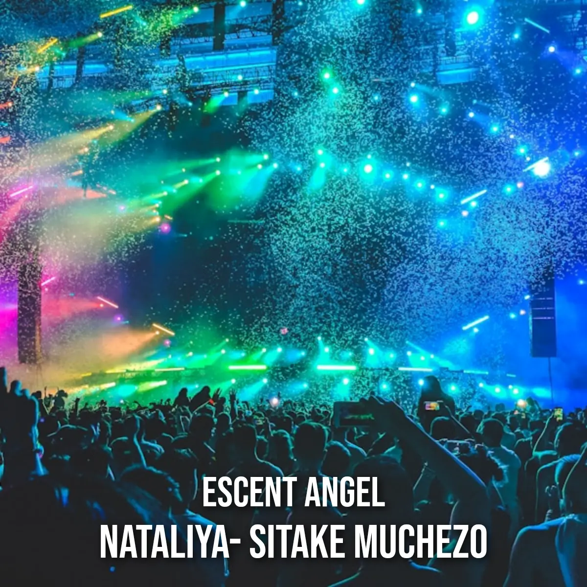 Nataliya sitake muchezo cover art