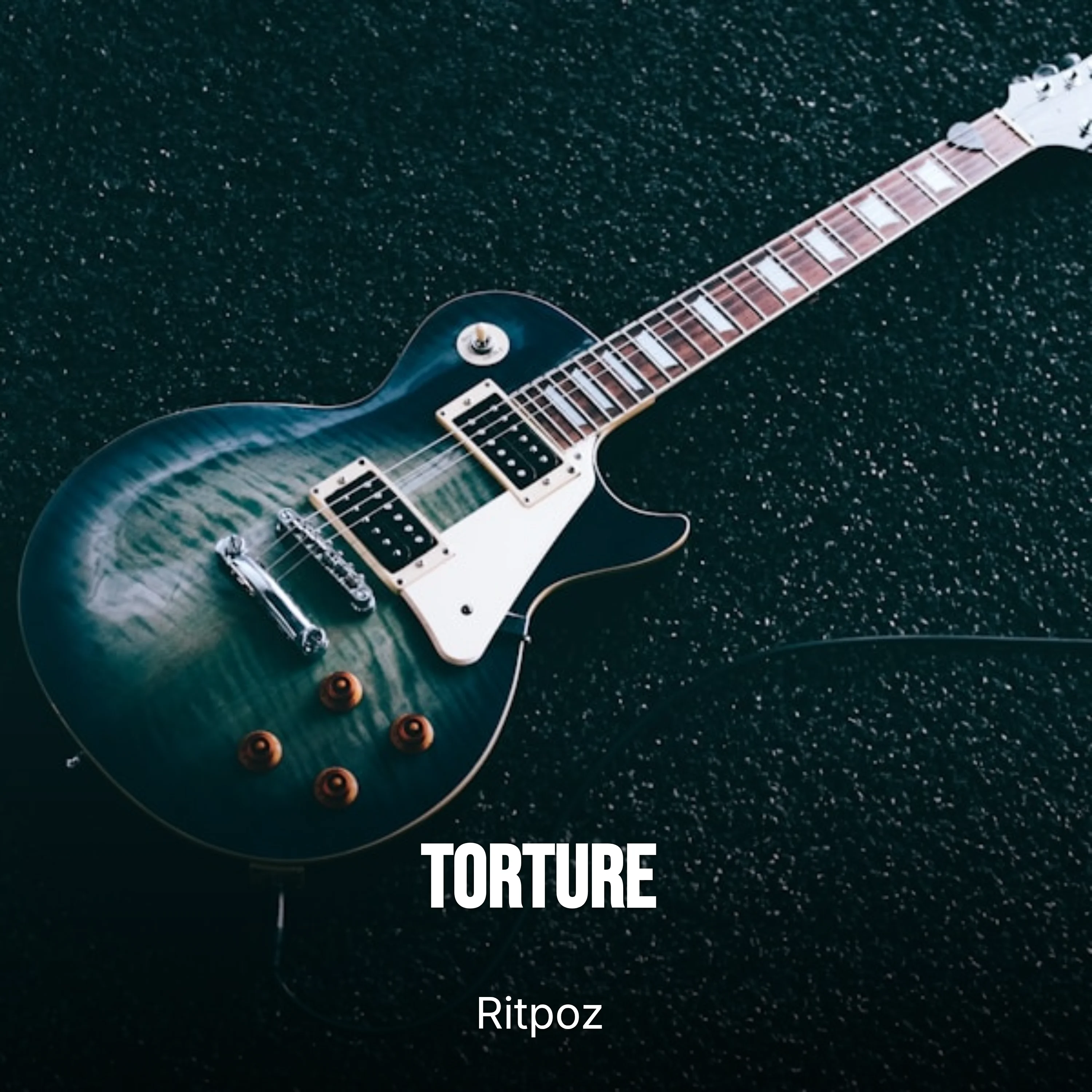 Torture cover art