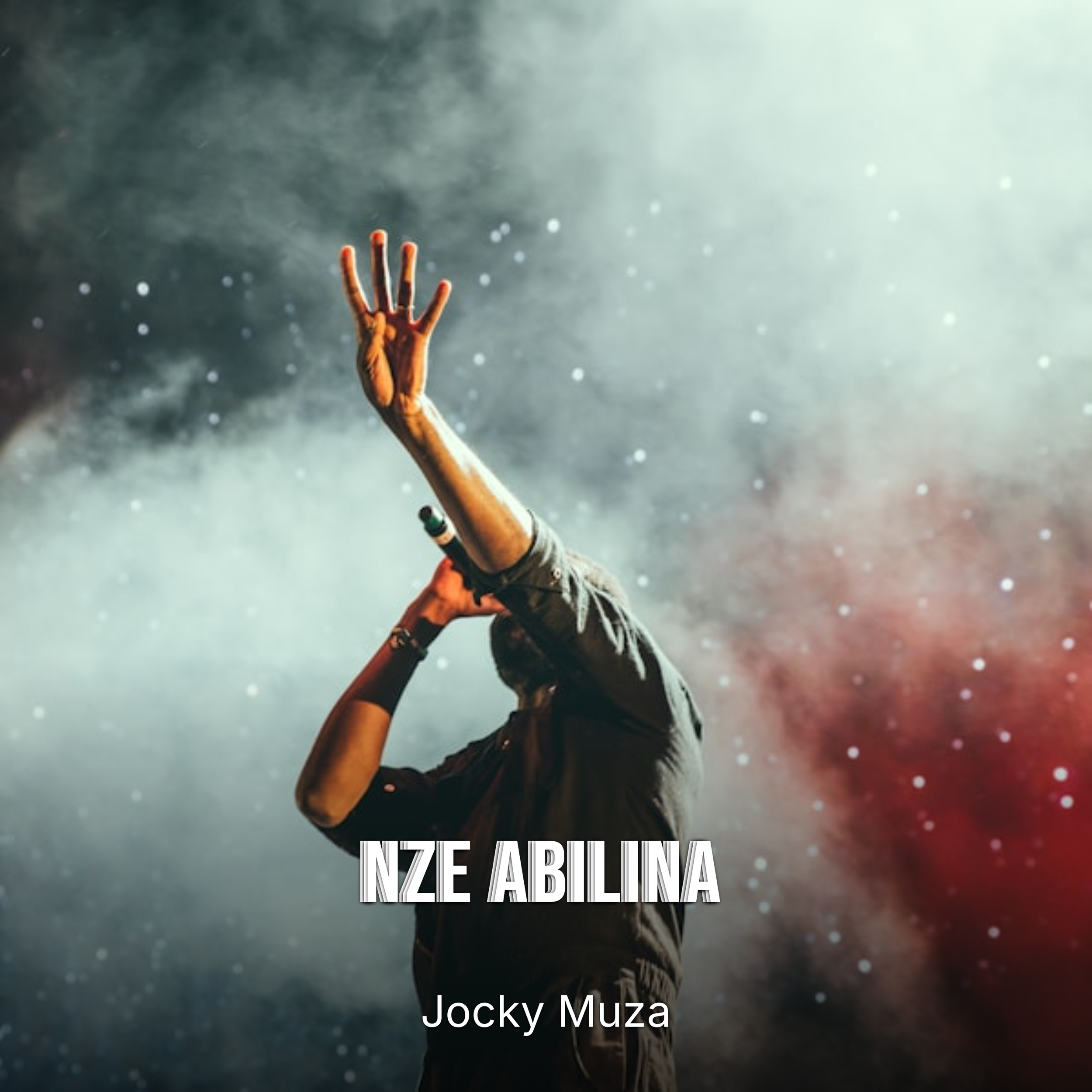 Nze Abilina cover art