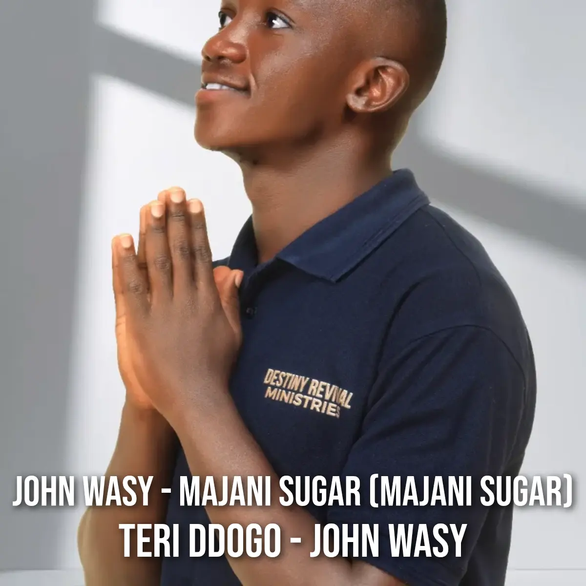 Teri Ddogo - JOHN WASY cover art