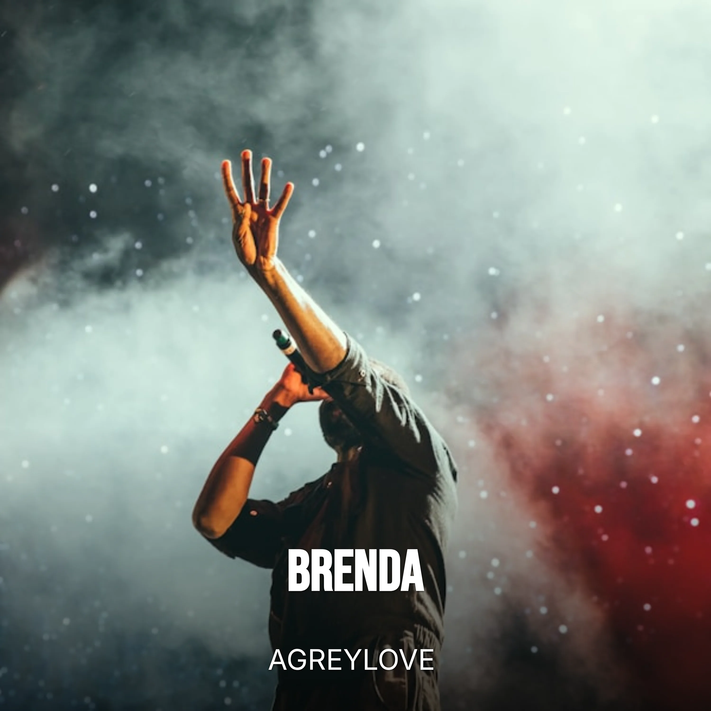 Brenda cover art