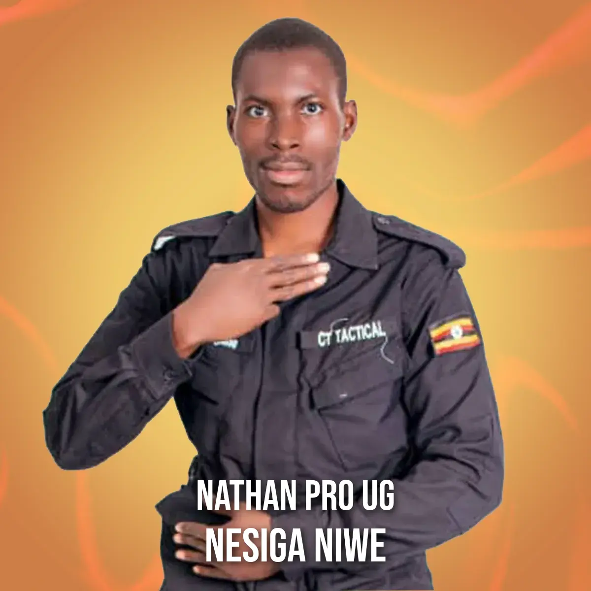 NESIGA NIWE cover art