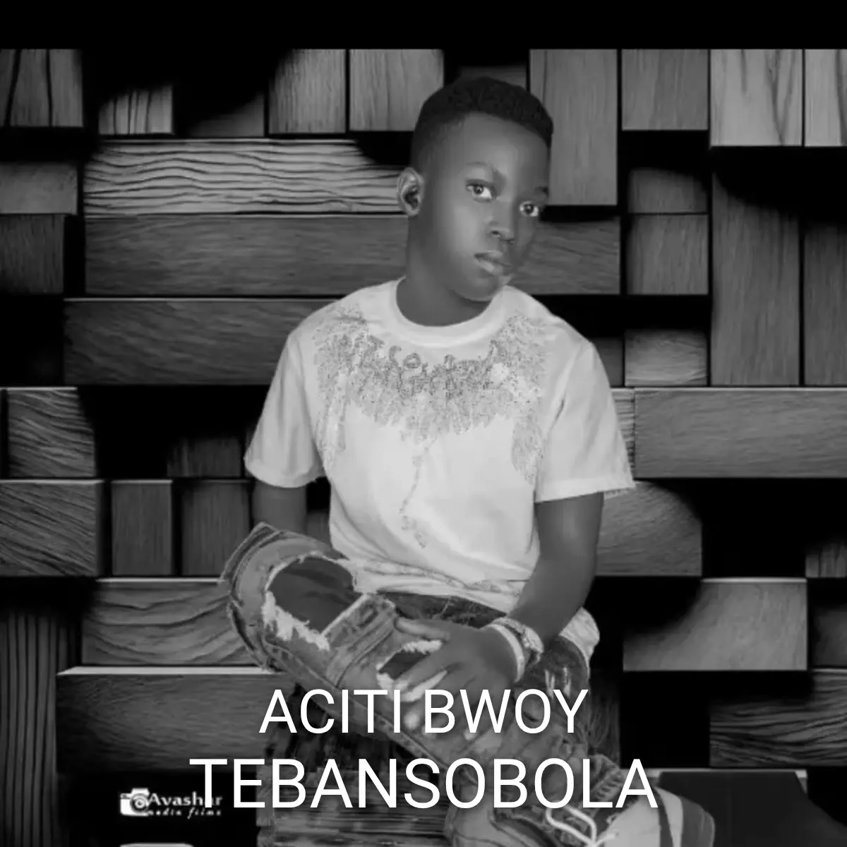 Tebansobola cover art