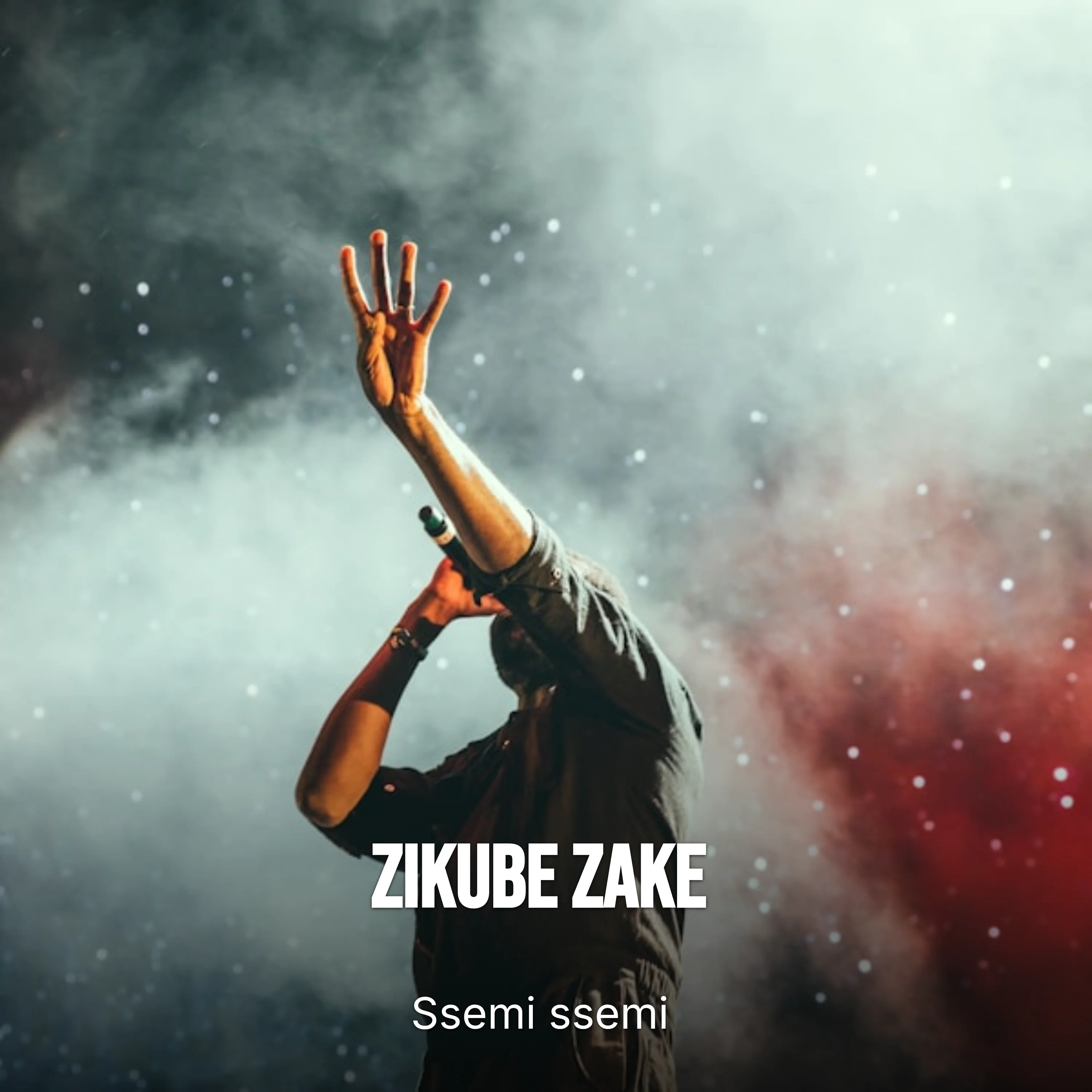 Zikube zake cover art