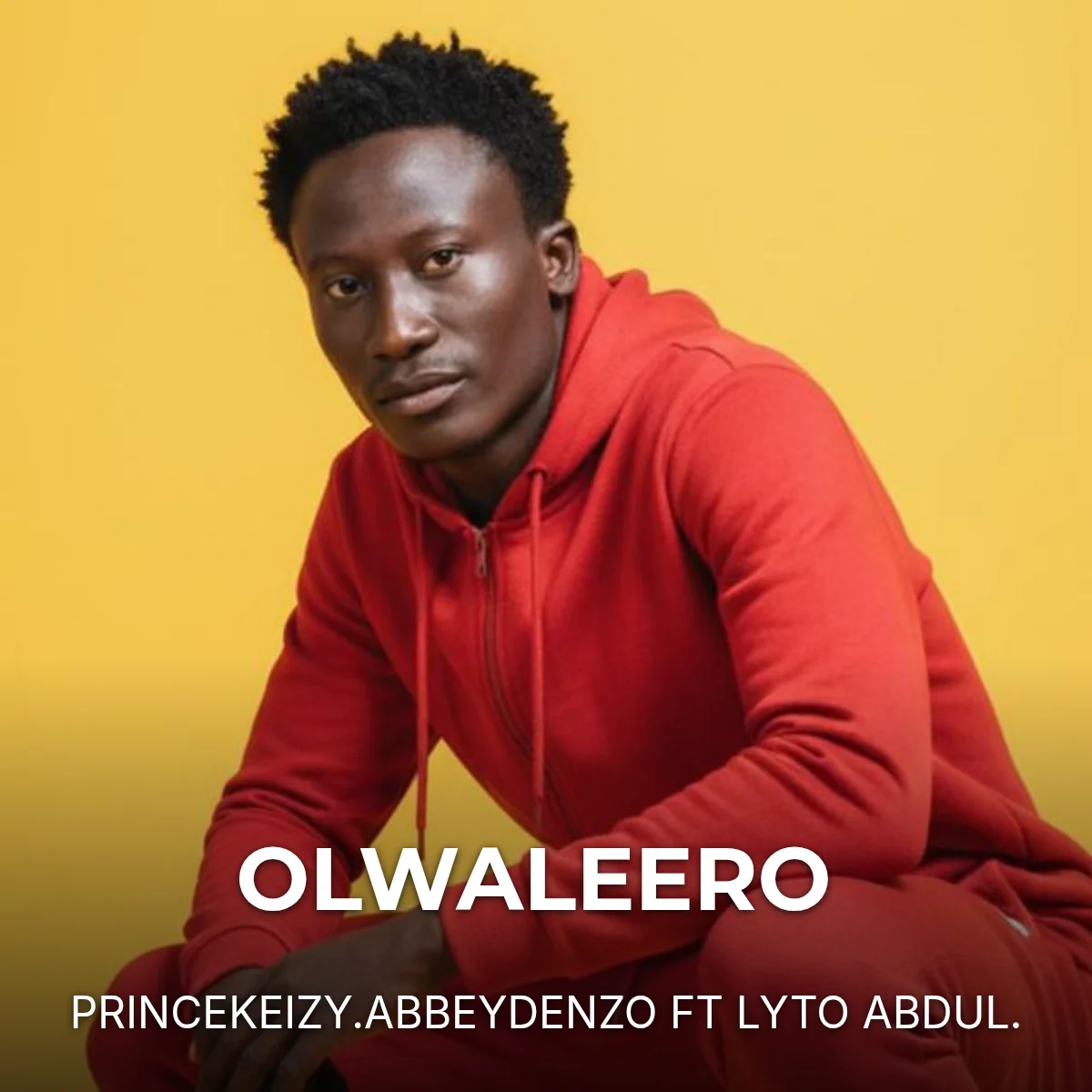 OLWALEERO cover art