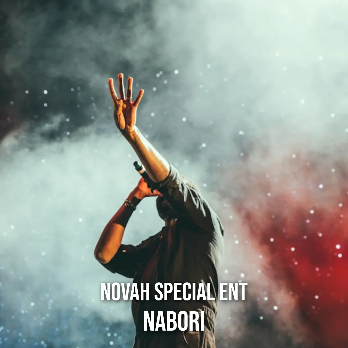 Nabori cover art