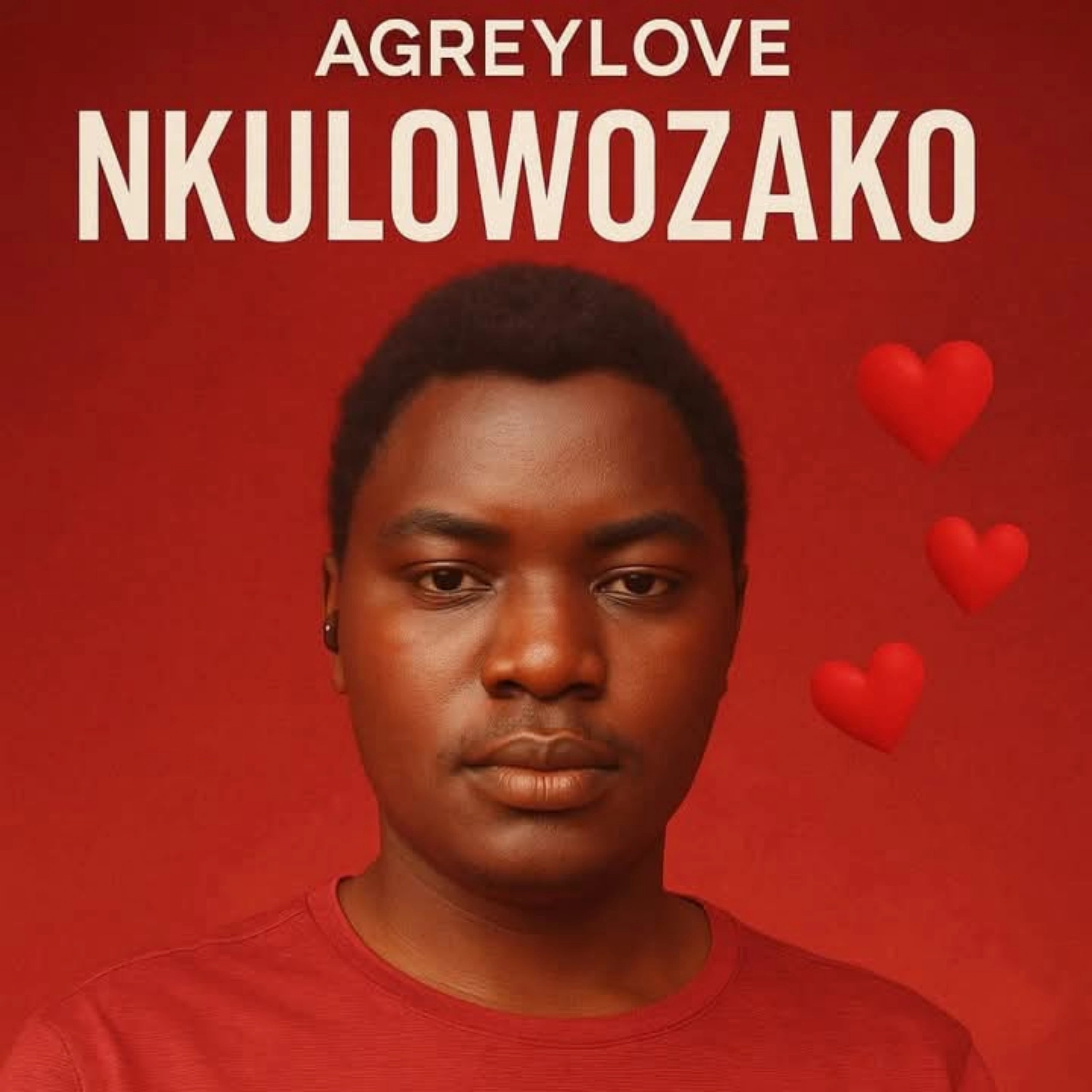 NKULOWOZAKO cover art
