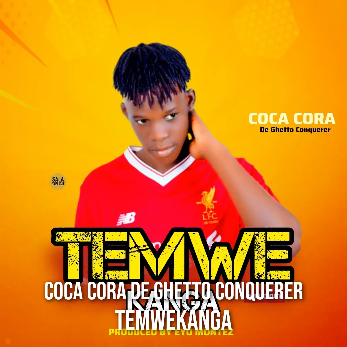 Temwekanga cover art