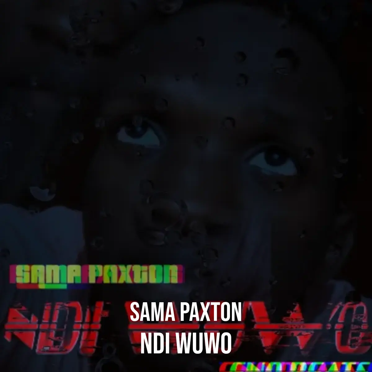 Ndi wuwo cover art